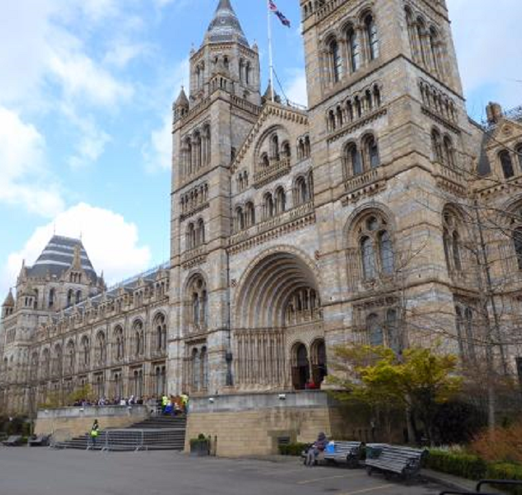 StarWatch Keeps An Eye On The Natural History Museum