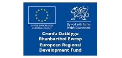 ERDF Logo